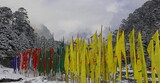 frosty cold winter at yumthang valley, buddhist prayer flags flying in the valley, surrounded by himalaya mountains and forest, north sikkim in india