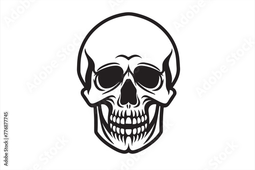 skull on white background