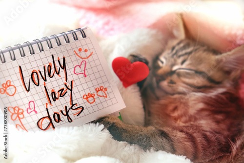 Text Lovely Lazy Days and pretty cute kitten relaxing on the bed with red hearts. Tabby cat. Funny pets. Napping kitten. Cozy and comfort