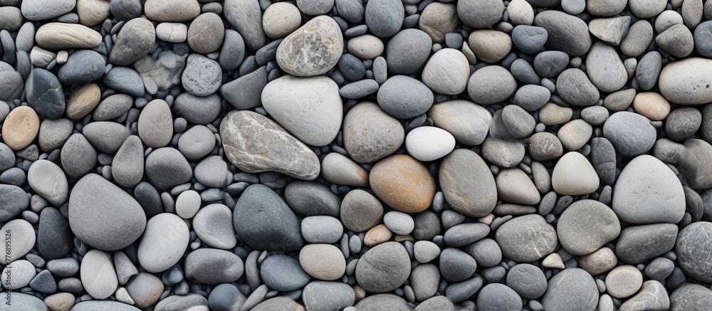 A detailed view of a collection of rocks with one small white rock placed among them A detailed view of a collection of rocks with one small white rock placed among them