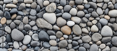 A detailed view of a collection of rocks with one small white rock placed among them