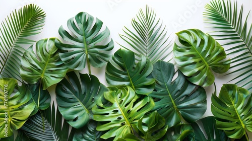 Tropical Leaves, Monstera and palm leaves in vibrant greens on a white background, summer background