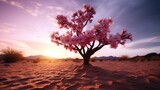a tree with pink flowers growing out of sand