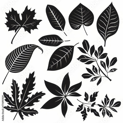 Clip art illustration with various types of leaf black color on a white background. 