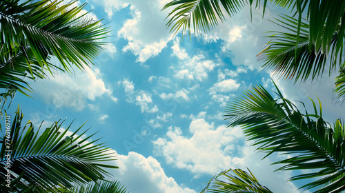 A picturesque frame created by the lush leaves of coconut branches  set against a backdrop of a cloudy blue sky  perfectly captures the essence of Palm Sunday