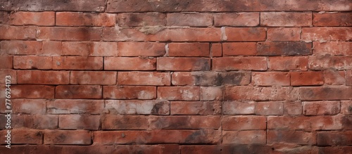 A detailed view of a single red brick in a structured brick wall, showcasing its color and texture photo