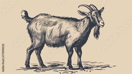 Hand-drawn engraving of a goat on a farm.