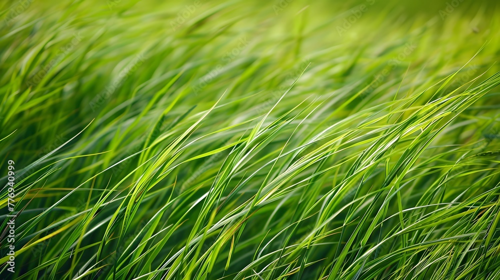 Graceful tall grass: Creating a tranquil landscape of beauty and serenity AI Image Graceful tall grass: Creating a tranquil landscape of beauty and serenity AI Image