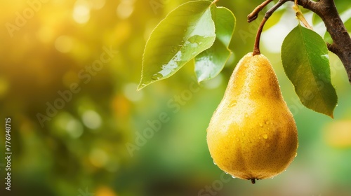 green tree pear background