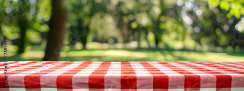 Picnic Red & White Checkered Cloth in Park