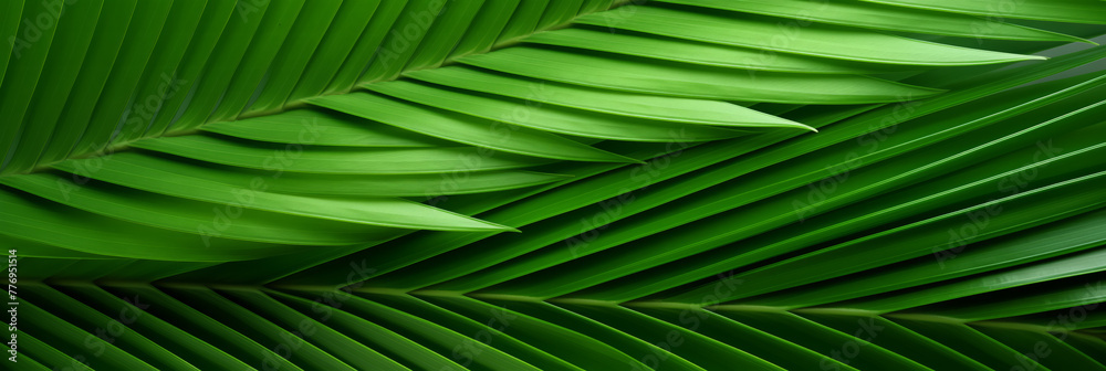 Abstract green leaf pattern. Abstract green leaf pattern.