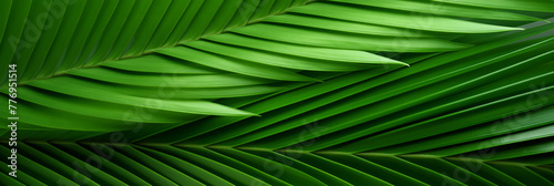 Abstract green leaf pattern.