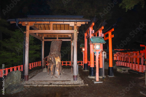 Fushimi Inari Taisha Shrine, Kyoto, Japan photo