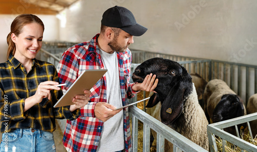 Young modern couple of farmers with digital tablets in hands work in livestock farm. Checkup animals at farm. 
