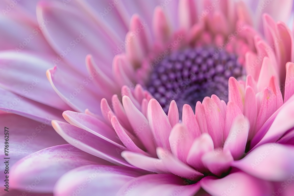 A macro photo capturing the soft pink hues and intricate patterns of a flower's petals with a focused depth of field A macro photo capturing the soft pink hues and intricate patterns of a flower's petals with a focused depth of field