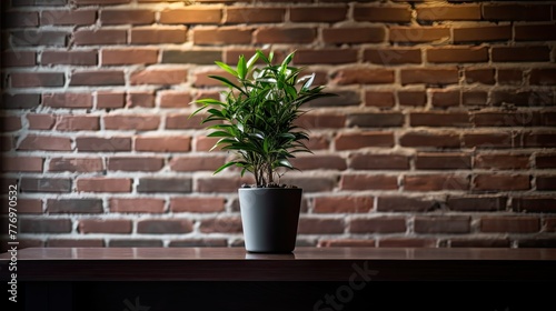 trendy blurred interior plant