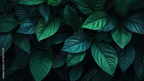 leaves dark green gradient background