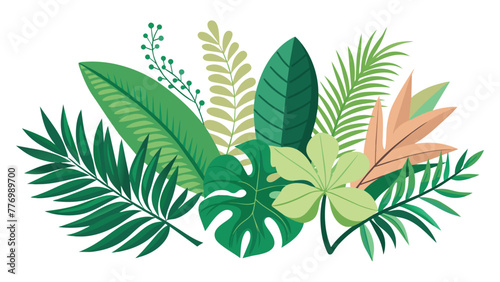 Random various plam leaves isolated flat illustration on white background