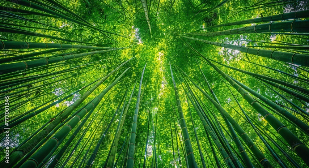 The Enchanted Forest A Journey Through the Bamboo Grove Generative AI The Enchanted Forest A Journey Through the Bamboo Grove Generative AI