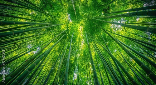 The Enchanted Forest A Journey Through the Bamboo Grove Generative AI