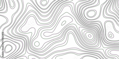 Abstract topography background. Blank detailed topographic contour map subtle. White vector background. Topographic geography wallpaper. © SUBORNA