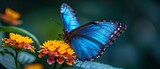 The Blue Butterfly's Symbiotic Relationship with the Flower Generative AI
