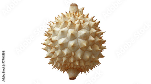 Durian in delicious food style, top view on transparent white background