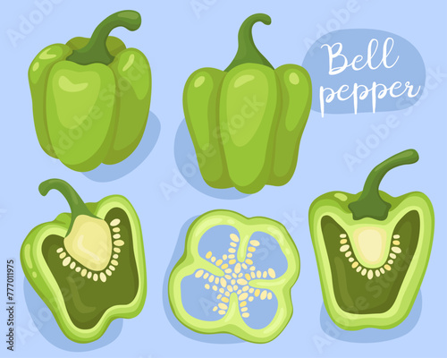 Bell pepper. Green sweet pepper. Half, whole and slice pepper. Vegetable, cooking ingredient. Illustration. 