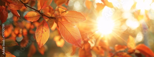 Autumnal Sunlight A Close-up of a Tree s Leaves in the Warm Sunlight Generative AI