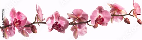 Pink Orchid Bouquet A Symbol of Elegance and Delicate Beauty Generative AI