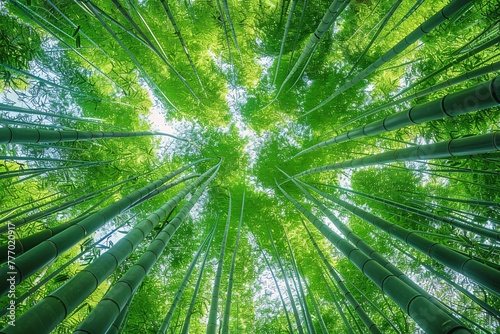 The Canopy of Bamboo A Symphony of Nature's Architecture Generative AI