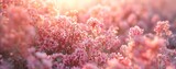 Blossoming Dreams A Field of Pink Flowers Generative AI