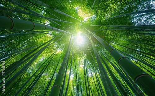 The Enchanted Forest A Journey Through the Bamboo Grove Generative AI