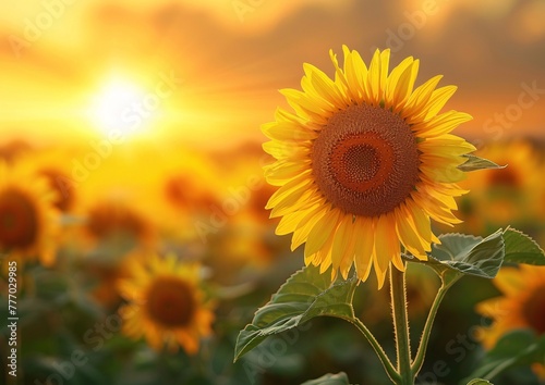 Radiant Sunflower Amidst a Field of Sunflowers at Sunset Generative AI