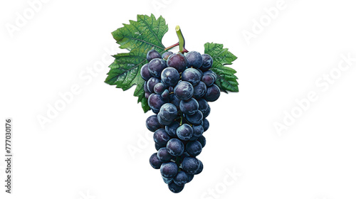 Grape in delicious food style, top view on transparent white background
