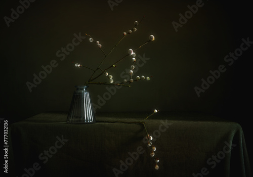 Still life with flowering willow branches on a dark background.