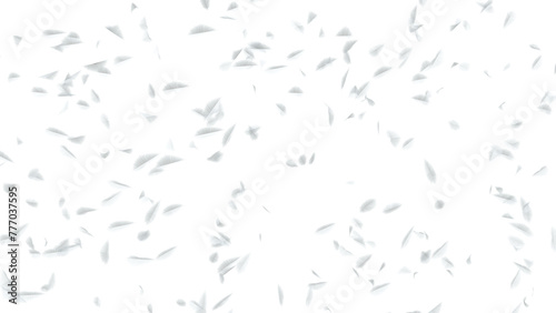 Floating Feathers: A collection of fluffy white bird feathers drifts gently through the air on a transparent background