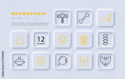 Organs set icon. Female reproductive organ, pelvis, skull, skeleton, bone, ear, intestinal tract, spine, vertebrae, eye, lips, mouth, nose, numbering. Self care concept. Neomorphism style.