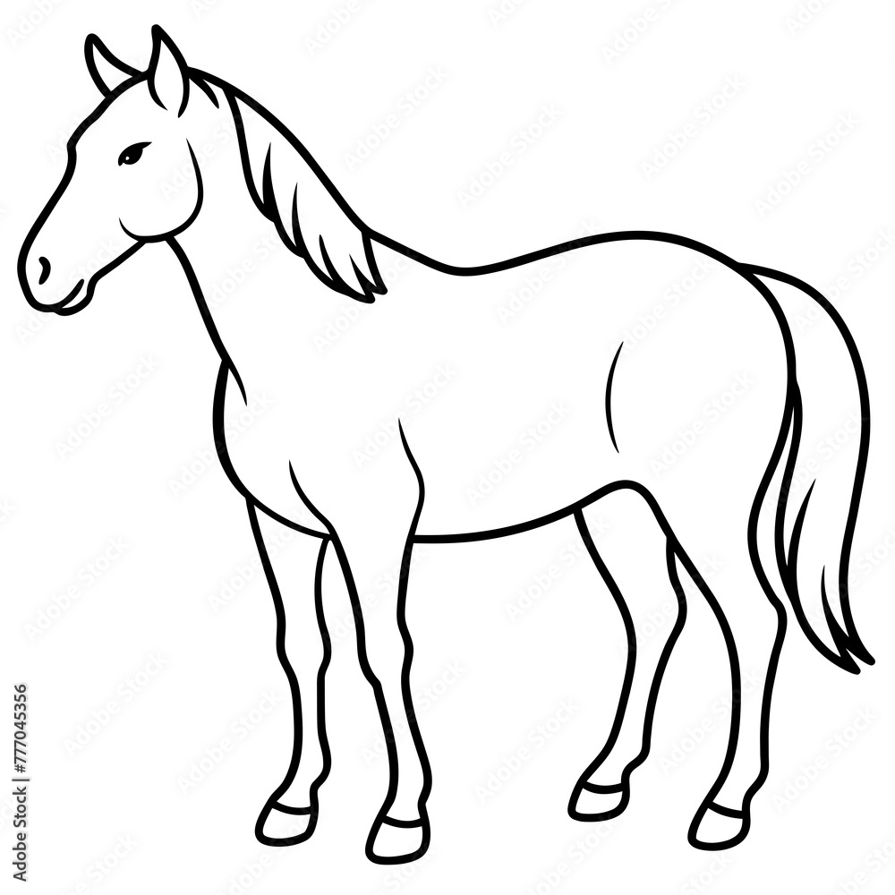 horse illustration