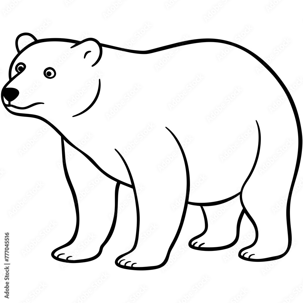 illustration of a bear