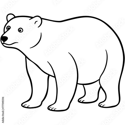 illustration of a bear