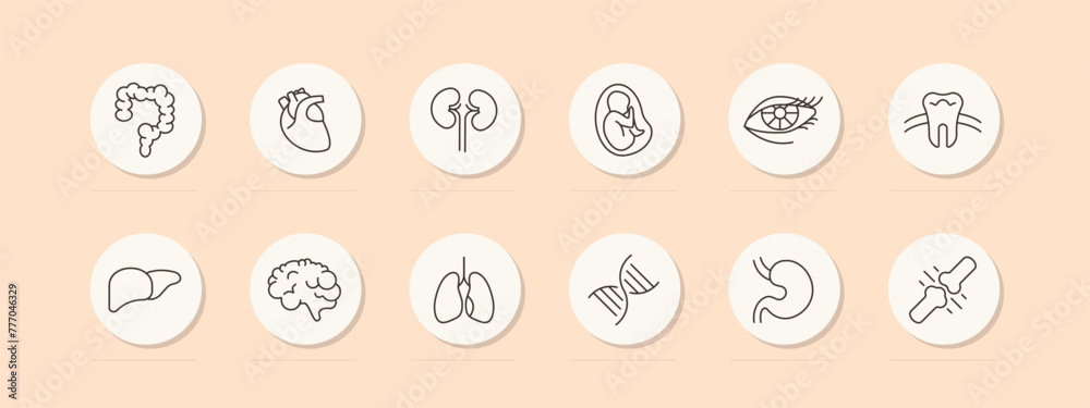 Organs set icon. Intestinal tract, stomach, liver, brain, lungs, embryo, DNA, tooth, eye, heart, eyelids, eyelashes. mesh, pastel colors. Self care concept. Vector line icon. Organs set icon. Intestinal tract, stomach, liver, brain, lungs, embryo, DNA, tooth, eye, heart, eyelids, eyelashes. mesh, pastel colors. Self care concept. Vector line icon.
