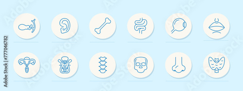 Organs set icon. Female reproductive organ, pelvis, skull, skeleton, bone, ear, intestinal tract, spine, vertebrae, eye, lips, mouth, nose, numbering. Self care concept. Vector line icon.