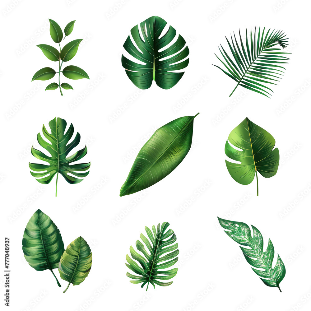 Different leaves close-up Different leaves close-up