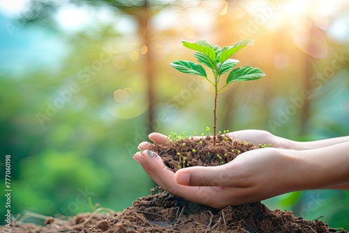 A single hand holds a small sapling with delicate care, illuminated by the soft, dappled light of the sun, conveying a message of growth and environmental stewardship..