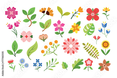 Colorful Flowers and Leaves Illustration