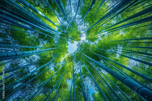 The Enchanted Forest A Journey Through the Bamboo Forest Generative AI