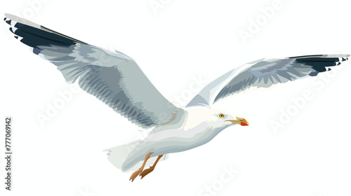 Cartoon flying seagull isolated on white background photo