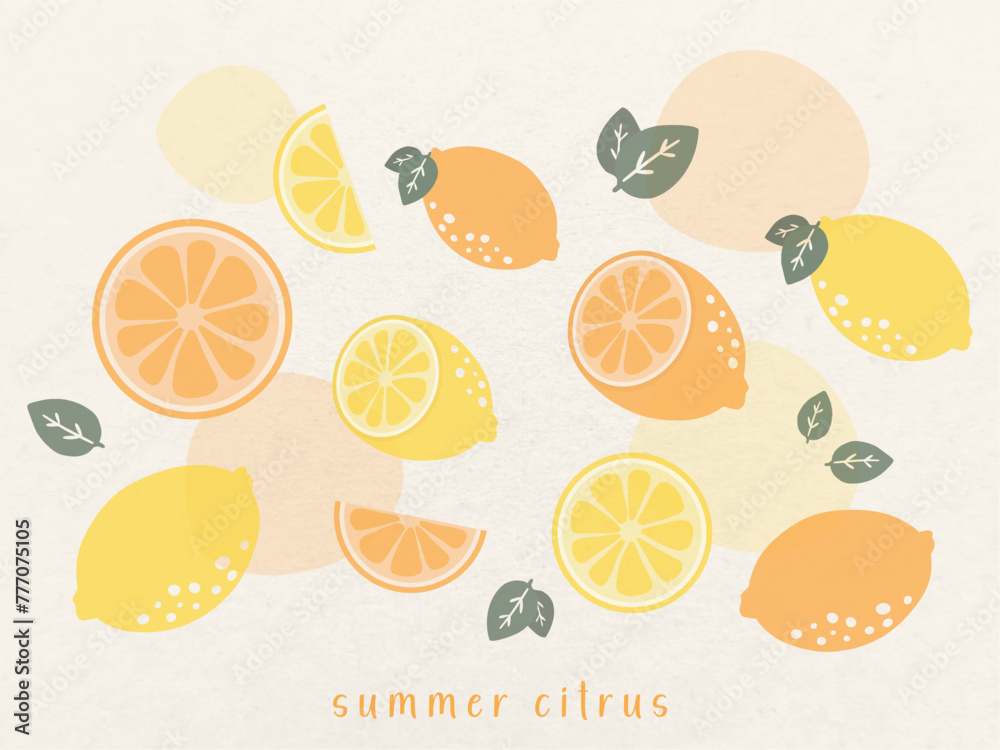 hand drawn vector mnimal illustration set of pastel citrus doodle clip art elements. Lemon in half, cute, slice hand drawn vector mnimal illustration set of pastel citrus doodle clip art elements. Lemon in half, cute, slice