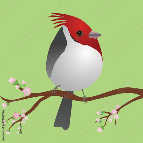 A very cute red crested cardinal bird in the shape of an egg. Greenbackground. The bird sits on a branch with pink blossoms.
